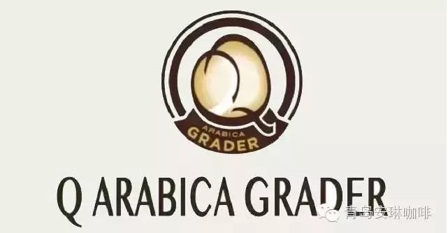 安琳咖啡2018年5月Q-Grader课程精彩回顾