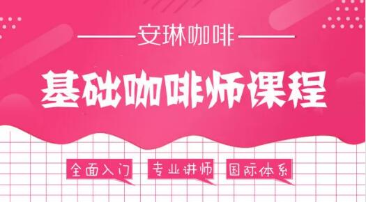 安琳咖啡 SCA基础咖啡师课程 简介
