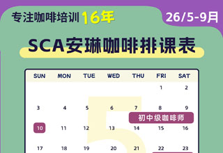 安琳咖啡SCA咖啡培训课程表（2026年5月-9月）