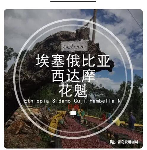 咖啡培训
