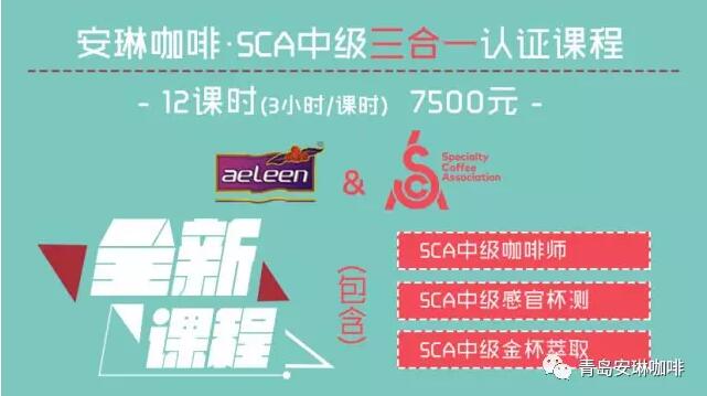 安琳咖啡全新SCA三合一认证课程