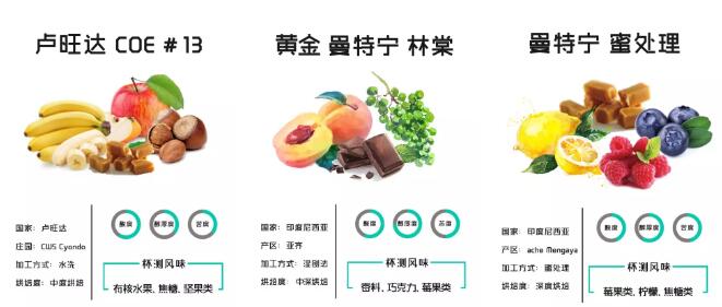 安琳咖啡手冲卡