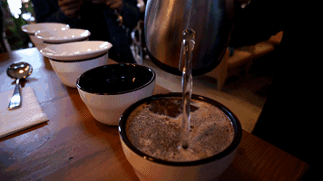 精品感官杯测课程