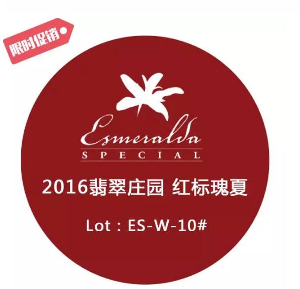 咖啡培训课程