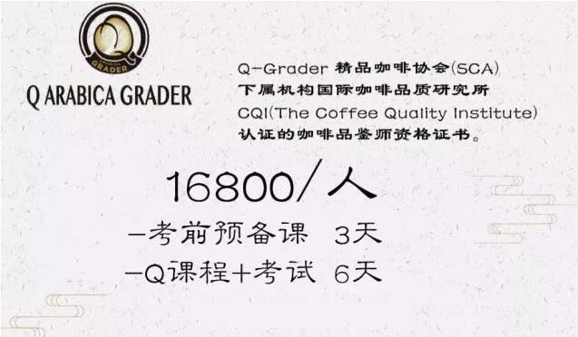 咖啡培训课程