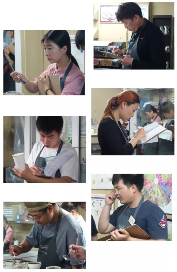 咖啡培训课程